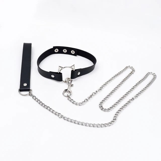 Halsband & Leine Set