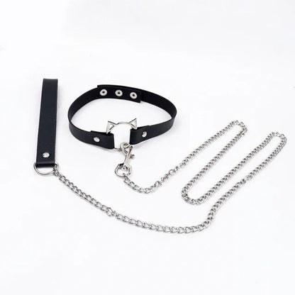 Halsband & Leine Set